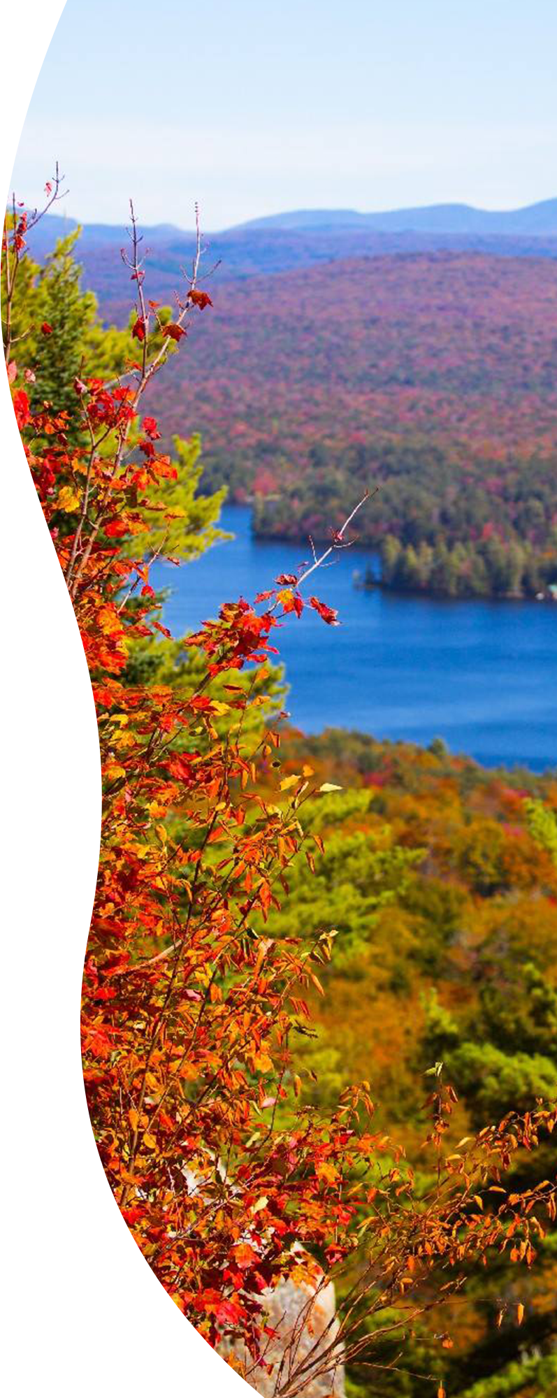 Herkimer County nature photo